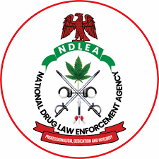 NDLEA Seizes 653kg of Colos and Loud in Lagos Raid